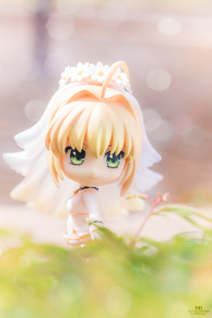 Saber Bride