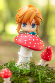 Link and the mushroom