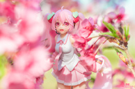 Sakura Miku