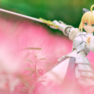 Saber Lily