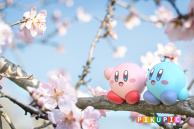 Look! Spring is coming! 