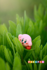 Looking for new horizons 