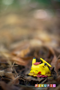 Pika-fall ❤️🧡🤎