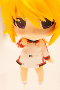 Charles Dunoa(Infinite Stratos)