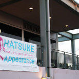 Miku Goods on Display Everywhere! (13/23)