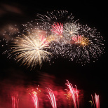 Miku Goods on Display Everywhere! (22/23)