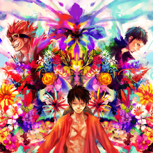 One Piece | Anime Gallery | Tokyo Otaku Mode (TOM) Shop