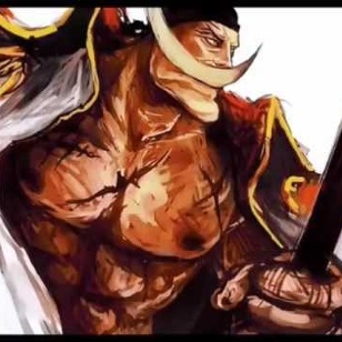 onepiece fanart movie