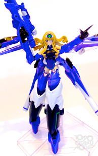 Tamashii Nation 2012 in Akihabara!