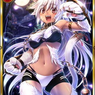 [Feral Feline] Wild Cat