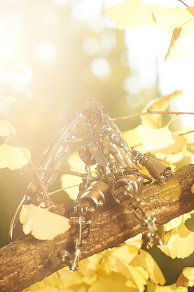 Junk Art  Miku  (Daisuke Shimodaira)