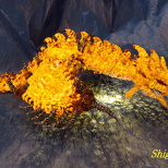 Chenille wire art § Queen of the Land Gold Rathian! Rioreia Rare Species § (2/10)