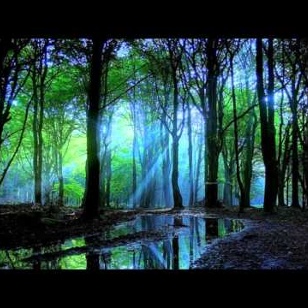 Mind Forest - Me singing (Female Version)