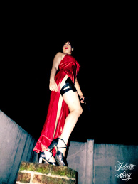 Ada Wong, Resident Evil 4