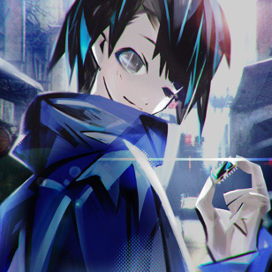 Bad IC Chip Bootlegger