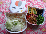 Oita Prefecture’s Yuru-chara☆Mejiron