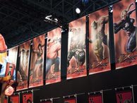 Tokyo Game Show 2011 Photos