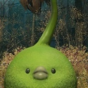 Olivia Catarina Gonzales