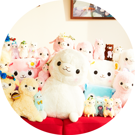 Alpacasso Enters the TOM Shop