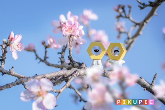 Does spring have its charm or not?