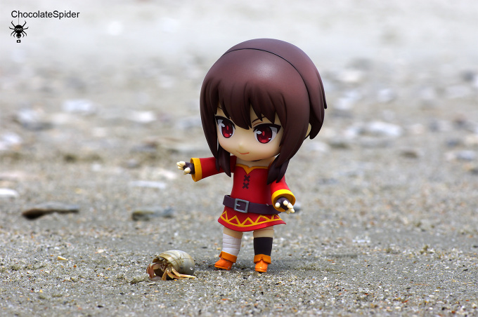 Megumin's New Pet