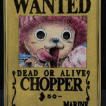 One Piece Crystal Wanted Posters (2/6)
