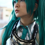 ANIPOLE-Hatsune Miku (3/3)