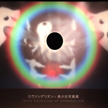 Reported "EVANGELION×Beautiful Girls' Photo Exhibition - Girls Collection of EVANGELION -" (18/25)