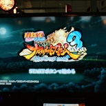 Photo Report - Tokyo Game Show 2012 (14/20)