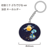 Hatsune Miku Goods (11/20)