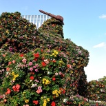 Flower Gundam (2/10)