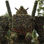 Flower Gundam (6/10)