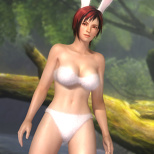 Dead or Alive 5 Heroine Costume DLC Preview (4/12)
