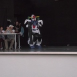 Amateur Gundam 00 Seravee Cosplay  (2/5)