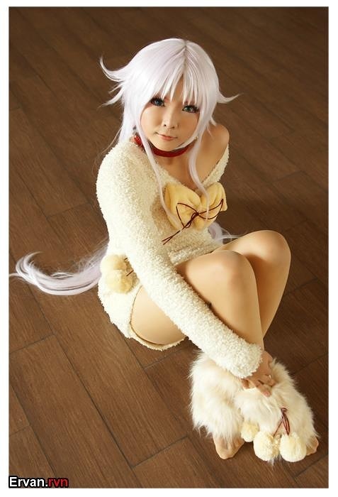 Neko Cosplay -1