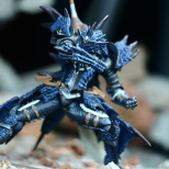  Selvaria Bles Valkyria Ver. 1/7 Complete Figure  (5/5)