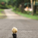 FF Trading Arts Kai Mini Cloud Strife (2/3)