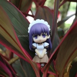 my nendo's collections (6/10)