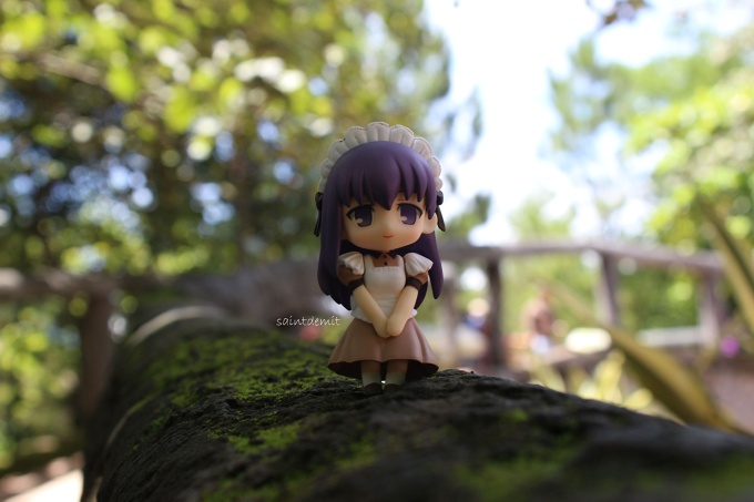 Sakura Maid walking on the park