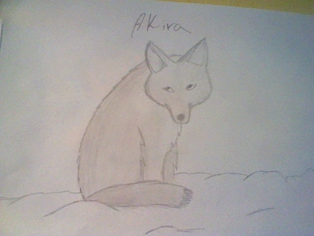 Loup