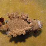 Kawaii♪ Want to Try to Ride the Pipe Cleaner Catbus?  (3/5)