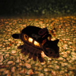 Kawaii♪ Want to Try to Ride the Pipe Cleaner Catbus?  (5/5)