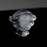 One Piece Chopper Ice Tray (5/5)