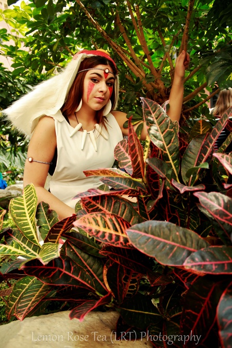 San  - Mononoke (1/2)