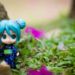 Nendoroids X Yukata X Friends  (5/6)