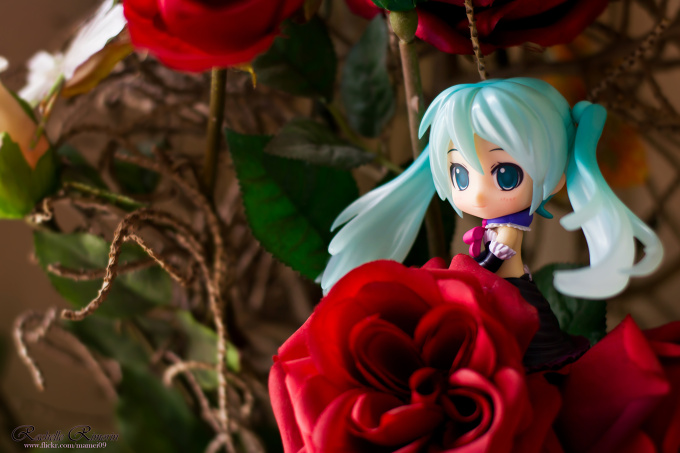 Lovely Princess Miku Append