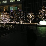 Shinjuku  Christmas  (2/3)