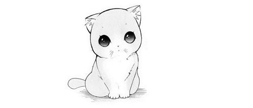 KAWAIII *-*