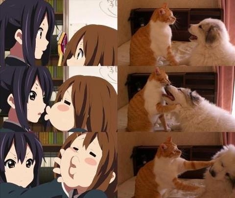 azunyan & yui :3