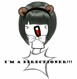 I'm a DIRECTIONER! Just for fun 
